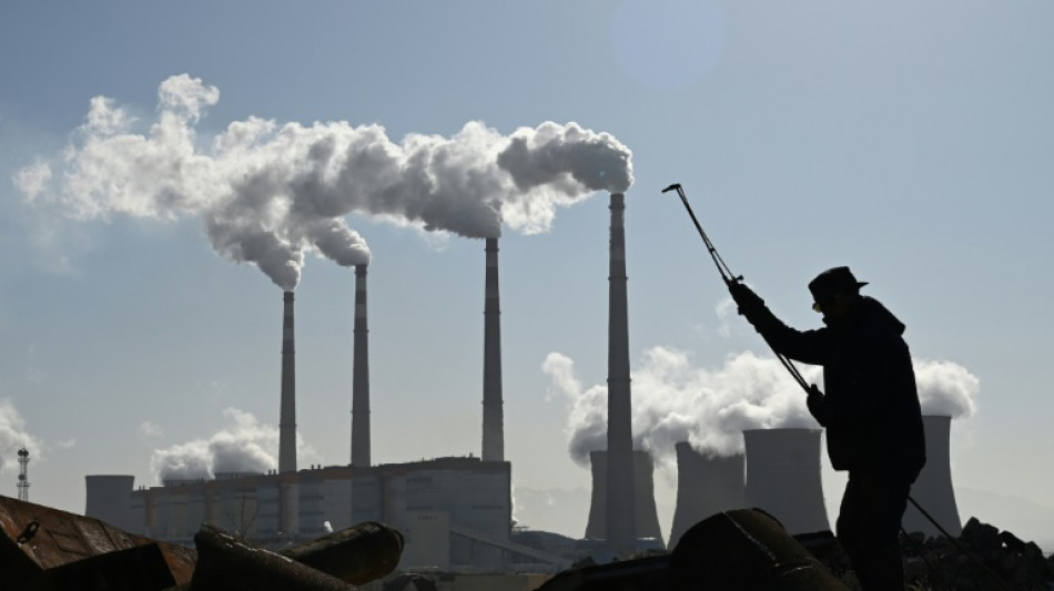 Nueva capacidad de generación eléctrica a carbón alcanza en 2024 su mínimo en 20 años