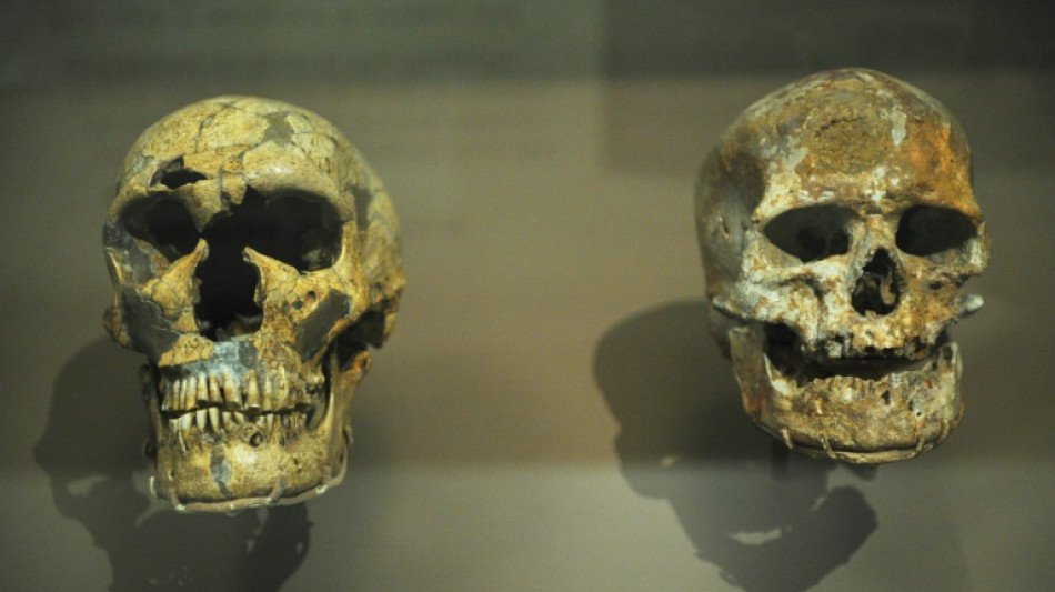 Homo sapiens est arrivé en Europe bien plus tôt que rapporté