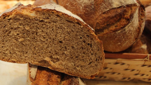 Ottenuto il primo pane di grano 'gluten free'