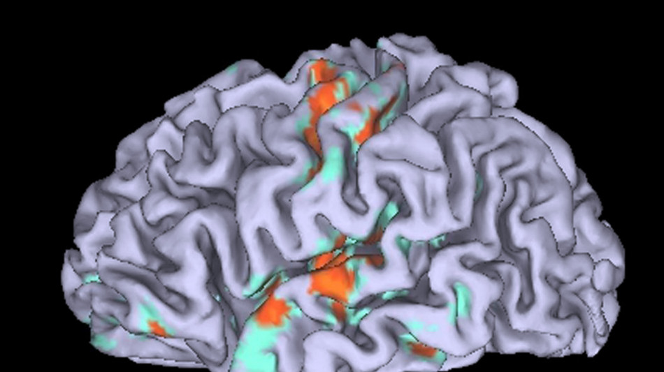 Cervello, l'et&agrave; in cui si vive un trauma influenza sviluppo e comportamento