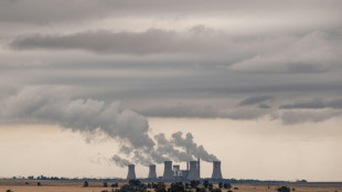 South Africa coal delay could cause 32,000 deaths, report says