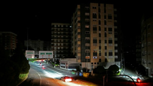 El apagón de abril en España y Portugal fue "el primero" por sobretensión en Europa