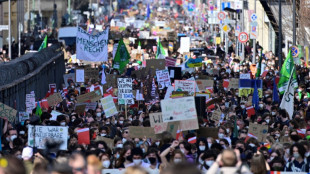 Tausende bei Klimastreik von Fridays for Future in Deutschland