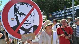 Hungary's hard-pressed LGBTQ people say Orban exit is only half battle