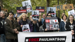 Sixth Greenland hearing for anti-whaling activist Watson