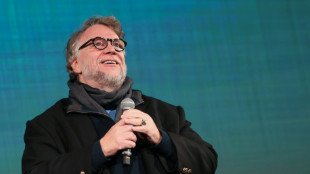 Guillermo del Toro recibir&aacute; el mayor reconocimiento del British Film Institute