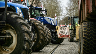 Cenário que favorece aprovação do acordo UE-Mercosul deixa França sob pressão