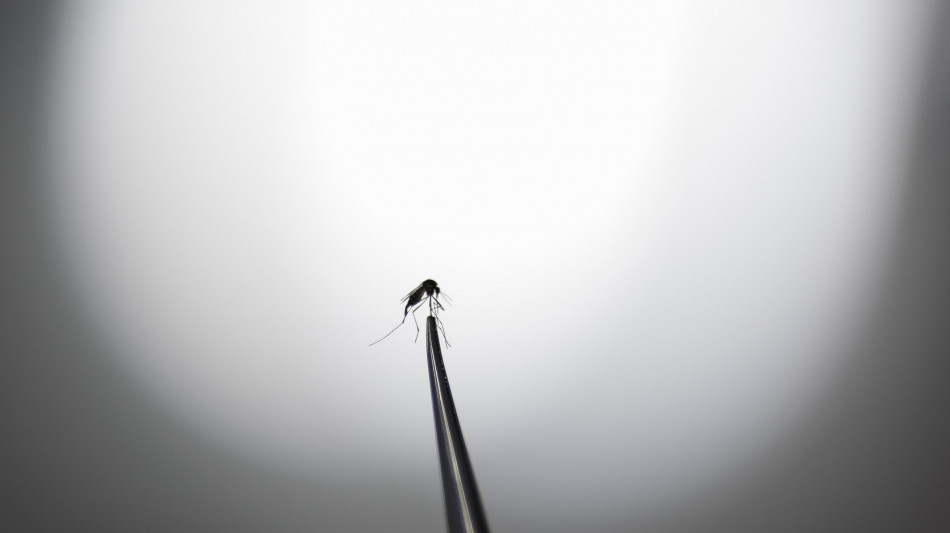 Le zanzare possono trovare appetitoso il repellente pi&ugrave; comune