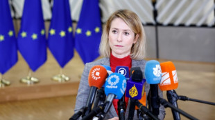 Iran: l'UE pr&ecirc;te &agrave; accentuer la pression sur les Gardiens de la R&eacute;volution