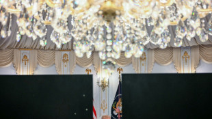 Dans le Tennessee, une l&eacute;gislative partielle fait trembler le parti de Trump