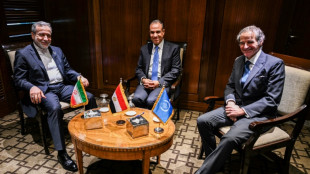Irán descarta cualquier acuerdo nuclear si se le priva de sus "actividades pacíficas"