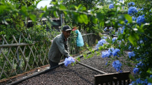 La capital china del té incursiona en el café ante cambios en los gustos