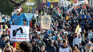 Un millier d'opposants défilent contre le canal Seine-Nord Europe