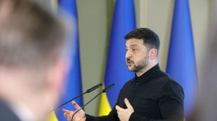 Zelensky sente Witkoff e Kushner, 'discussi dettagli del piano'