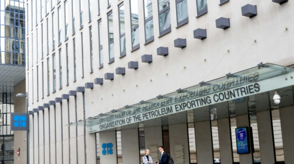 OPEC+ reaffirms planned pause on oil output hikes until March