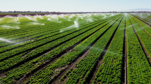 California's desert farmers defend their river rights
