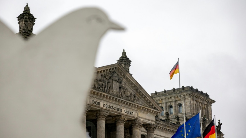 SPD-Au&szlig;enexperte r&auml;t Merz zu Absage an Trumps "Friedensrat"