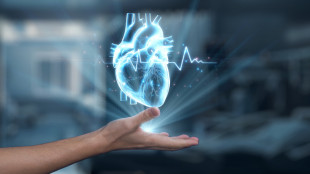 Aumentano interventi mininvasivi al cuore, ma l'Italia corre a due velocit&agrave;