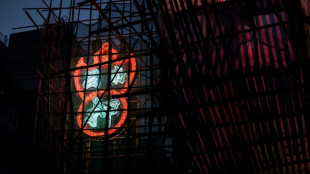 'Living gallery': fighting to save Hong Kong's fading neon signs