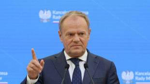 Tusk, 'nessuna pressione su Zelensky sui territori'