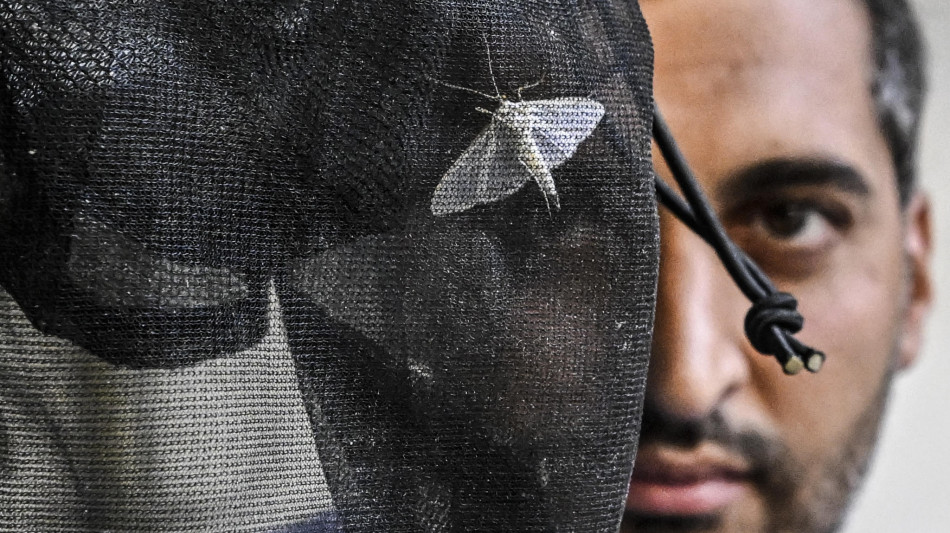 West Nile: un altro morto a Caserta, è il nono in Italia