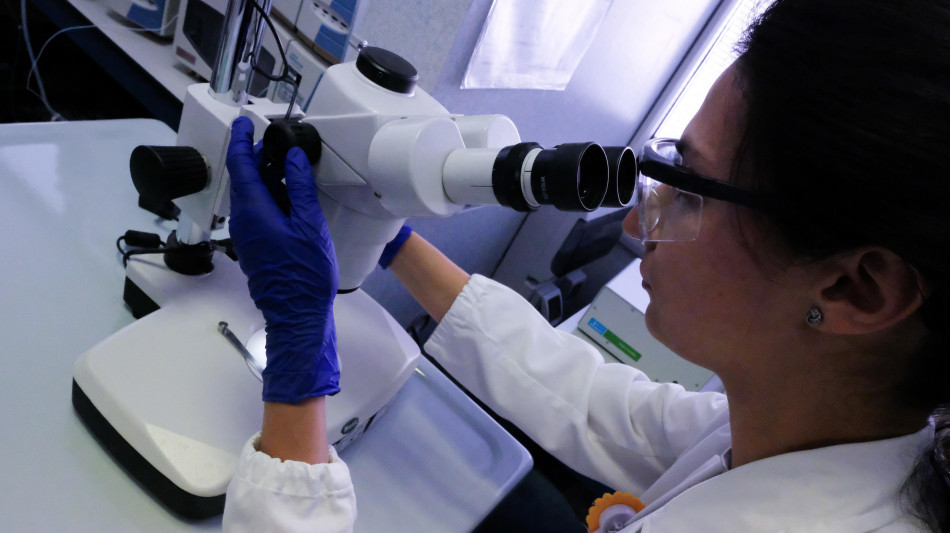 Trovato un batterio di 5mila anni fa resistente a 10 antibiotici