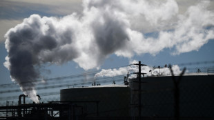 Fossil fuel plans by producing nations threatens 1.5C limit: UN