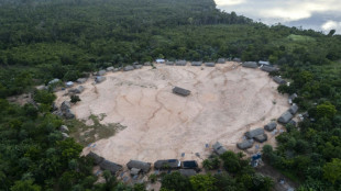 Climat: des pays accusés de "jouer" avec les forêts pour réduire leur ambition