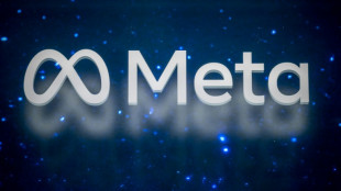 Meta tenderá un cable submarino de 50.000 km