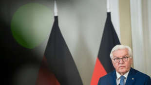 Bundespräsident Steinmeier würdigt Ehrenamtler als "Bollwerk gegen Gleichgültigkeit"