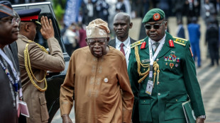 Les Etats-Unis et le Nigeria annoncent la mort d'un chef de l'EI dans une op&eacute;ration conjointe