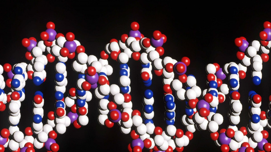 Individuate 74 varianti genetiche legate all'ansia, 39 sono nuove