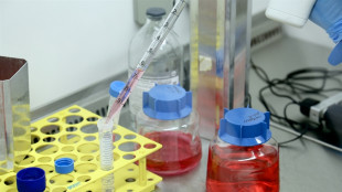 Con terapia Car T possibile trapianto rene a 2 pazienti senza donatori compatibili