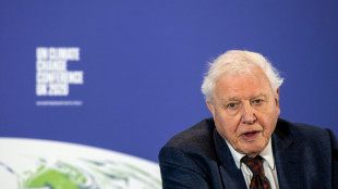 David Attenborough lanza a sus 99 años un nuevo filme en el que urge a salvar los océanos