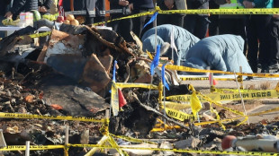 Coreia do Sul envia aos EUA caixa-preta do avi&atilde;o acidentado