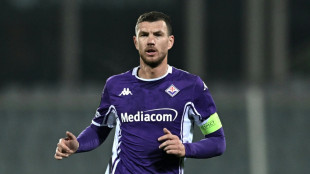 Dzeko gelandet: Medizincheck auf Schalke am Donnerstag