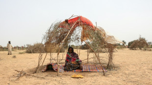 In Cameroon's arid north, climate stress boosts ethnic strife