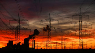 Industrie sieht Wirtschaftsstandort "im freien Fall" - Appell an Bundesregierung