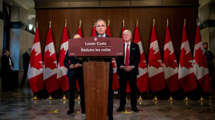 Carney promete impulsar la econom&iacute;a amenazada por Trump tras lograr la mayor&iacute;a parlamentaria