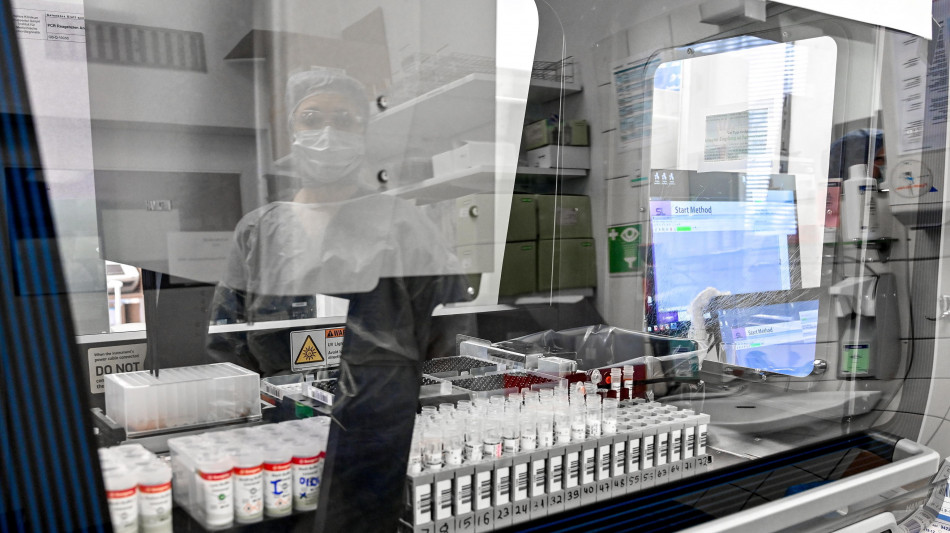 Prima sequenza genetica dell'hantavirus Andes, dal paziente svizzero