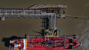 Il petrolio in rialzo a New York a 101,33 dollari