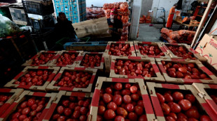 EEUU impondrá casi un 21% de aranceles a la mayoría de los tomates mexicanos