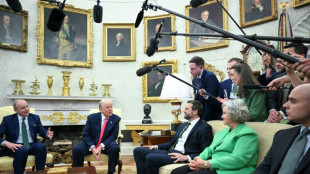Trump empfängt Irlands Regierungschef Martin im Weißen Haus - Kritik an Handelsdefizit