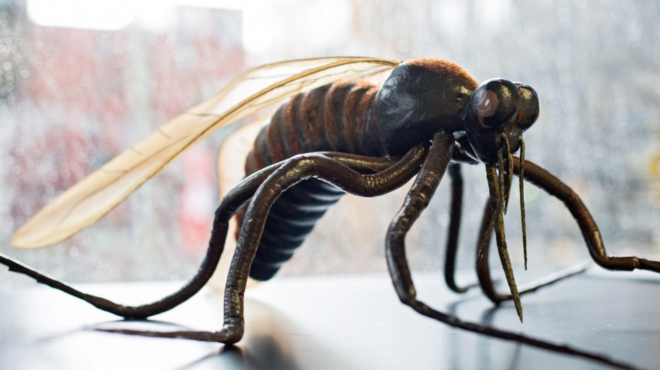 Un caso di West Nile, rientrata dalle vacanze