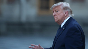 Trump, 'probabilmente sosterr&ograve; Netanyahu alle elezioni, dipende dai candidati'