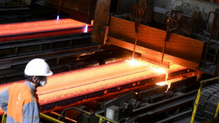 ArcelorMittal demande "une application rapide" du plan européen pour l'acier