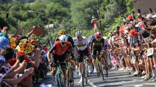 Cyclisme: l'équipe Arkéa-B&B Hotels vers la disparition, faute de repreneurs