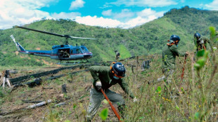 Peru erradica mais de 25 mil hectares de cultivos de coca que iriam para o narcotr&aacute;fico