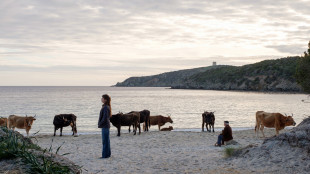 Milani, 'La vita va così', una commedia su dignità e coraggio