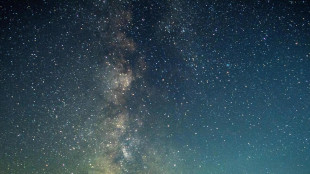Scoperte oltre 3mila nuove stelle 'mancate' in dieci anni
